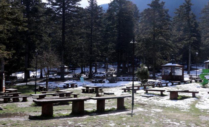 Gölcük Tabiat Pakı'nda açan çiçekler güzel görüntü oluşturdu