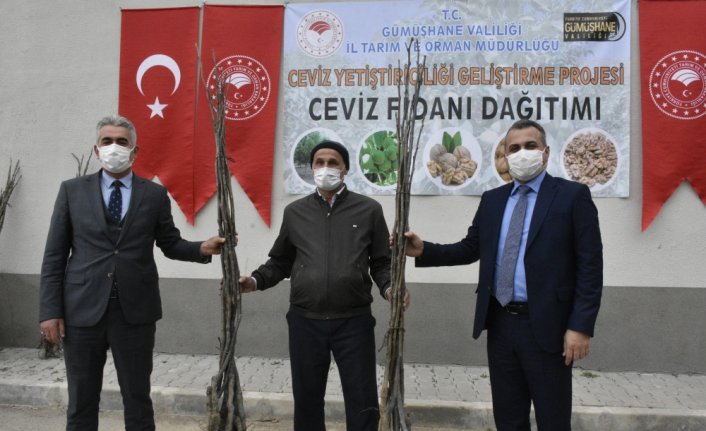 Gümüşhane'de çiftçilere 5 bin 600 adet ceviz fidanı dağıtıldı