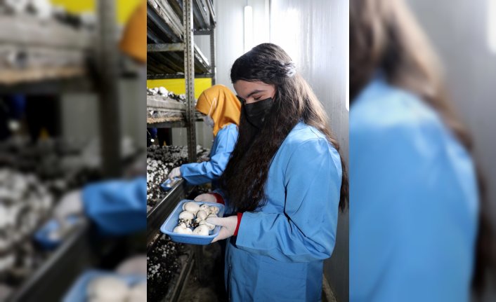 Karabük'te gençler mesleki eğitim kursuyla 