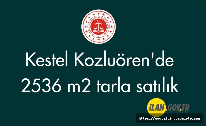 Kestel Kozluören'de 2536 m2 tarla icradan satılıktır (çoklu satış)