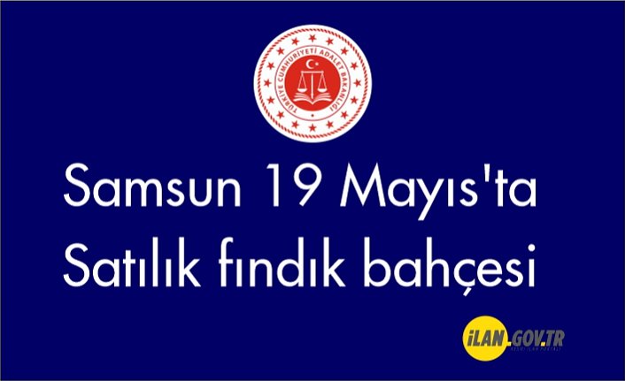 Samsun 19 Mayıs'ta Satılık fındık bahçesi