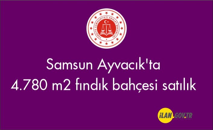 Samsun Ayvacık'ta 4.780 m2 Satılık fındık bahçesi