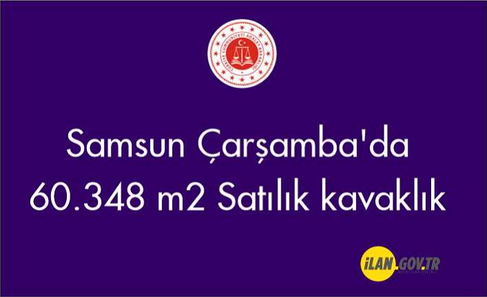 Samsun Çarşamba'da 60.348 m2 Satılık kavaklık