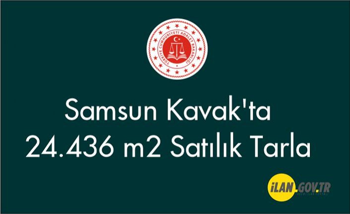 Samsun Kavak'ta 24.436 m2 Satılık Tarla
