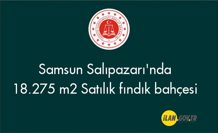 Samsun Salıpazarı'nda 18.275 m2 Satılık fındık bahçesi