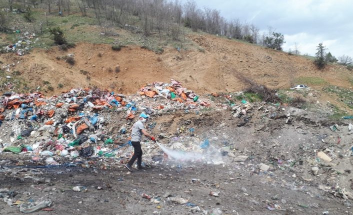 Torul'da çöp alanlarında dezenfekte ve ilaçlama çalışması yapıldı