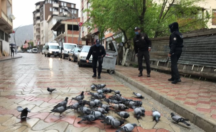 Torul'da polisler sokak hayvanlarını besledi