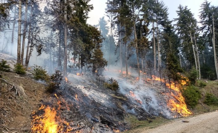 Artvin'de ormanlık alanda çıkan yangın 4 saatte kontrol altına alındı