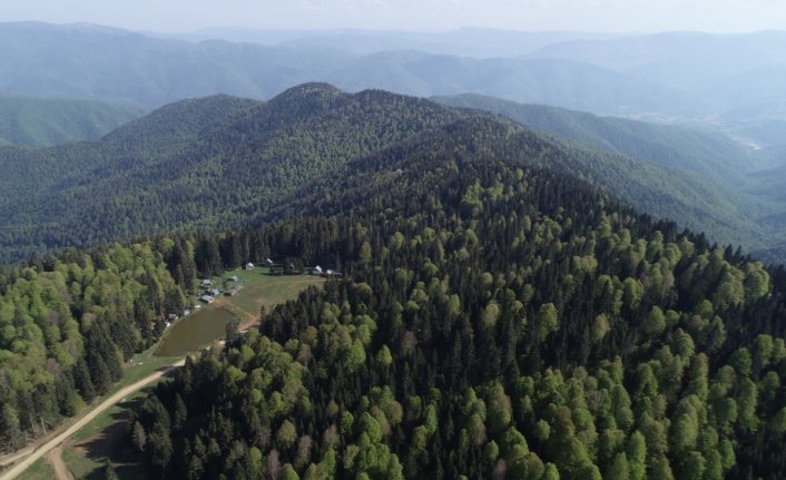 Batı Karadeniz yaylaları 