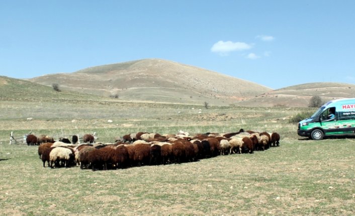 Bayburt'ta besicinin imdadına 