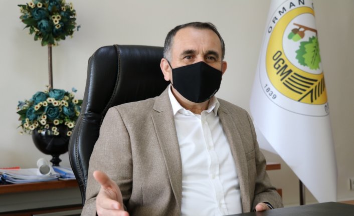 Bolu'da ormanda piknik yapanlara cezai işlem uygulanacak