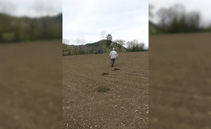 Bolu'daki çiftçilerin 