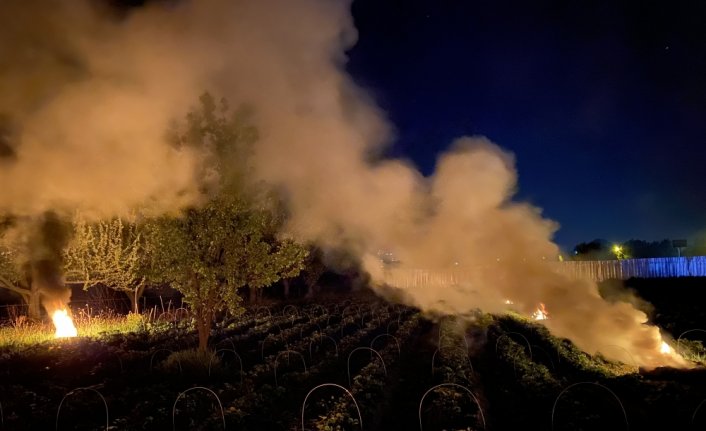 Çilek tarlasında zirai dona karşı dumanlı gece nöbeti