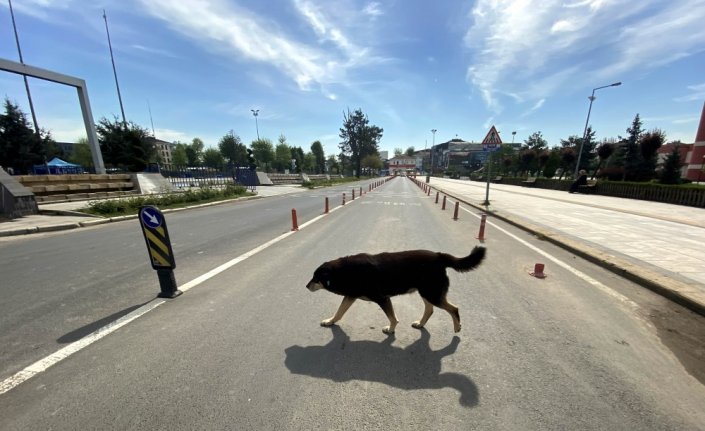 Doğu Marmara ve Batı Karadeniz'de 