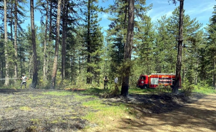 Eflani'de ormanlık alanda çıkan yangın büyümeden söndürüldü