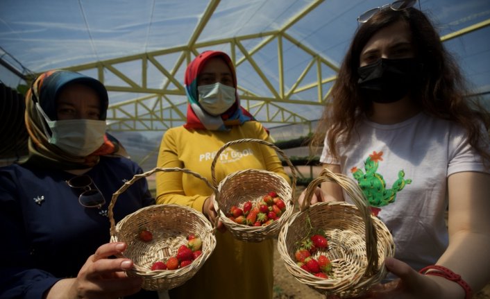 Fedakar öğretmenler 