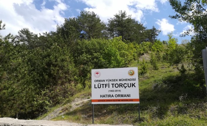 Göynük'te Orman Mühendisi Lütfi Torçuk adına hatıra ormanı oluşturuldu