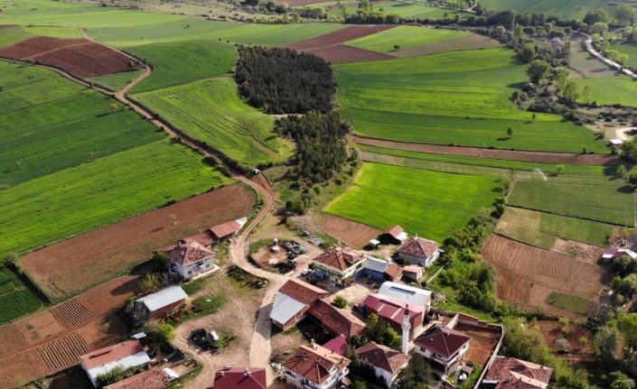 Hayvan otlattıkları boş araziyi 18 yılda ormana dönüştürdüler