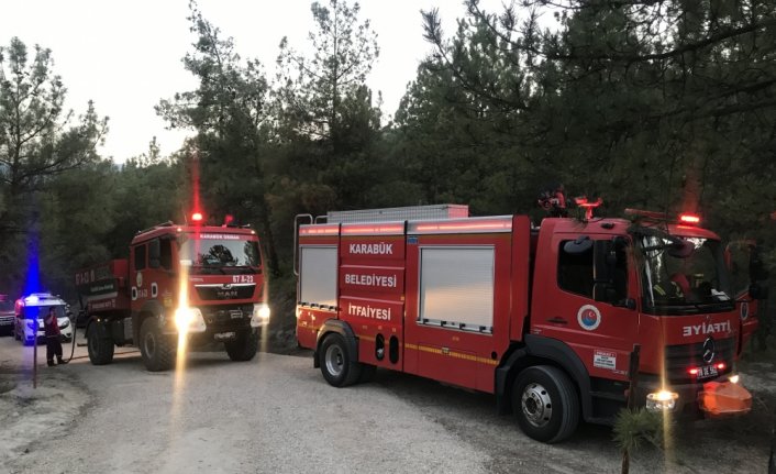 Karabük'te çıkan orman yangını söndürüldü