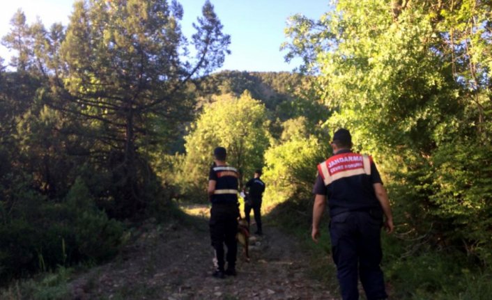 Karabük'te kayıp olarak aranan kişi evine döndü