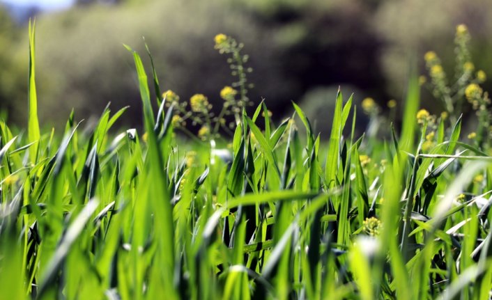 Karabük'te kullanılmayan tarım arazileri üretime kazandırılıyor