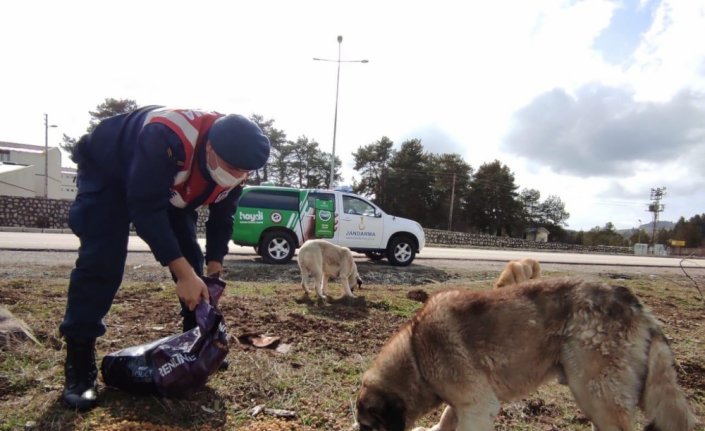 Kastamonu ve Amasya'da 