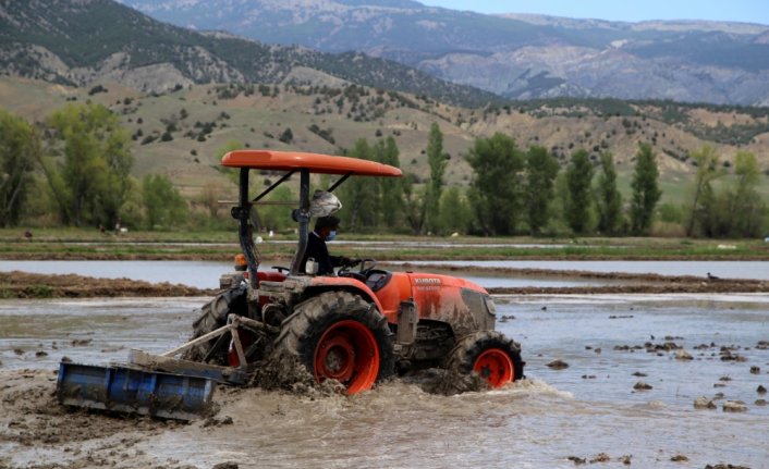Kastamonu'da çeltik üreticileri ramazanda da zorlu mesailerini sürdürüyor