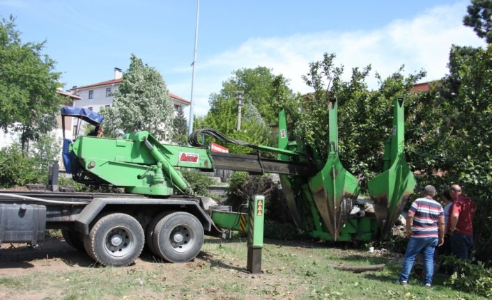 Kastamonu'da inşaat bölgesinde kalan 8 ağaç sökülerek hastane bahçesinde dikildi