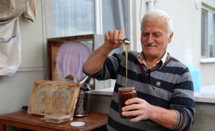 Kastamonu'da üretilen kestane balında kovan sayısı ve rekolte arttı