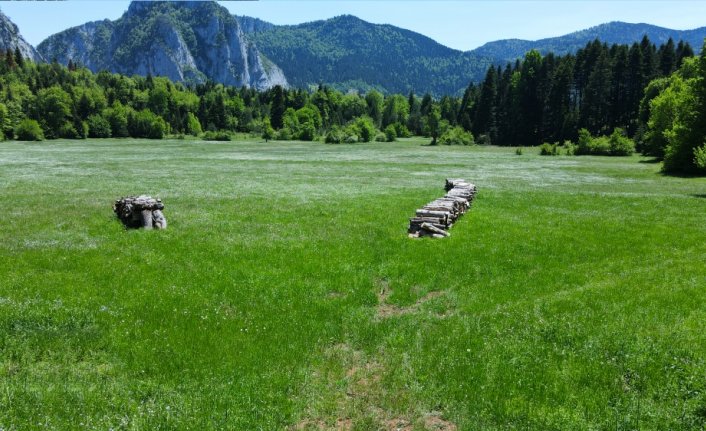 Küre Dağları yeşilin farklı tonlarıyla görsel şölen sunuyor