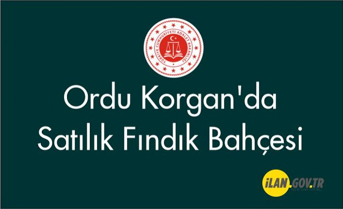 Ordu Korgan'da satılık fındık bahçesi