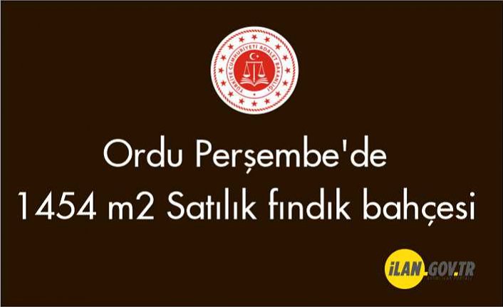 Ordu Perşembe'de 1454 m2 fındık bahçesi Satılık
