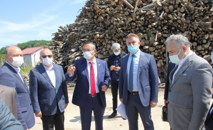 Ordu Üniversitesi Ünye yerleşkesinde çalışmalar yaz mevsiminde başlayacak