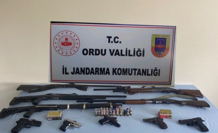Ordu'da silah kaçakçılığı operasyonunda 1 kişi yakalandı