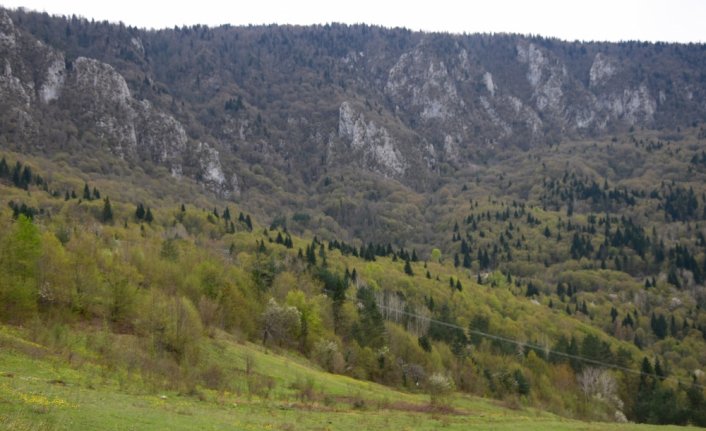 “Saklı cennet“ Şenpazar doğa içinde izolasyon imkanı sunuyor