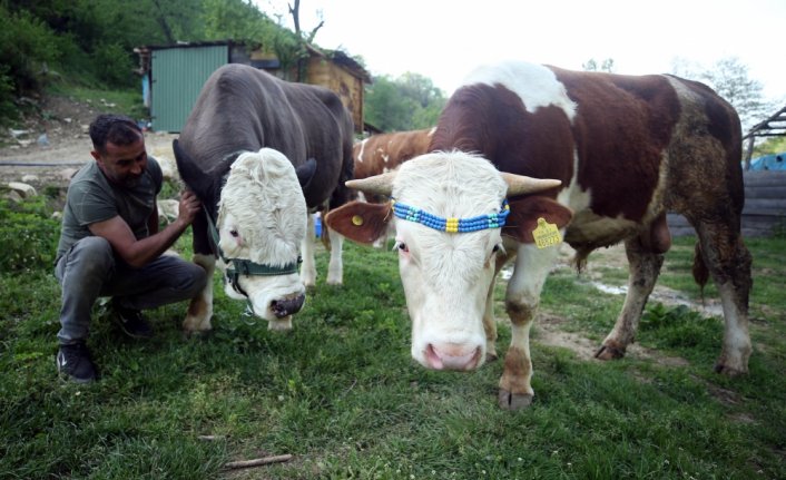Salgın sürecinde yerleştiği köyde yaptığı bungalov evler izole tatilin adresi oldu