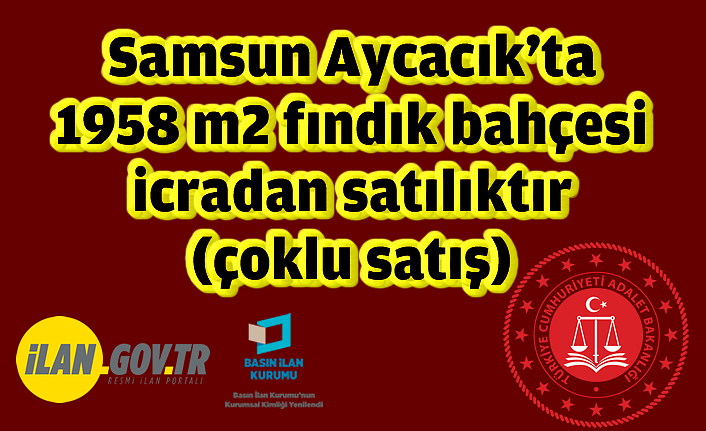 Samsun Aycacık'ta 1958 m2 fındık bahçesi icradan satılıktır (çoklu satış)