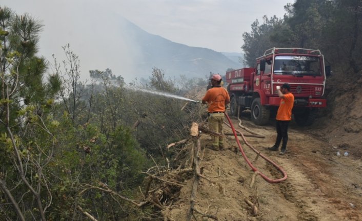 Sinop'ta çıkan orman yangınına müdahale ediliyor