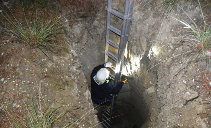 Sinop'ta kuyuya düşerek mahsur kalan 3 kaplumbağa itfaiye ekiplerince kurtarıldı