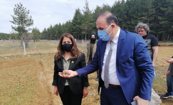 Zonguldak Orman Bölge Müdürü Bayraktaroğlu'ndan Safranbolu Tıbbi ve Aromatik Bitki Şehri'nde inceleme