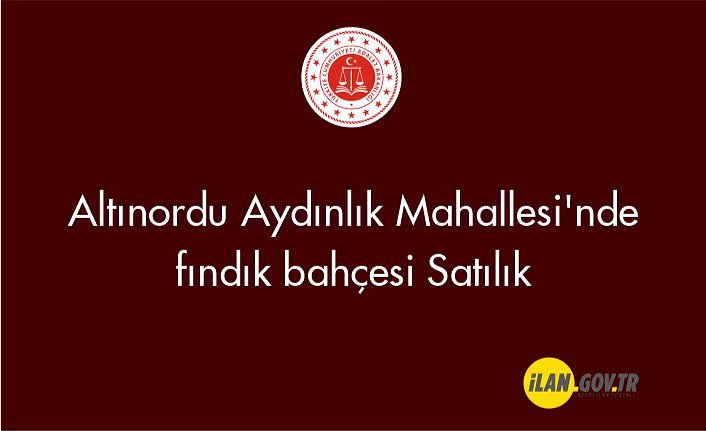 Altınordu Aydınlık Mahallesi'nde fındık bahçesi Satılık