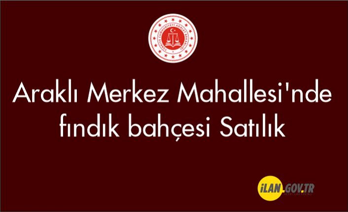 Araklı Merkez Mahallesi'nde fındık bahçesi Satılık
