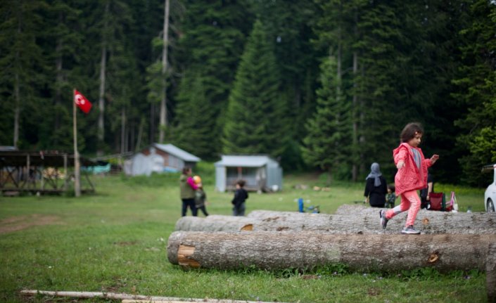 Batı Karadeniz yaylaları kademeli normalleşme süreciyle şenlendi