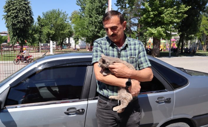 Bolu'da sattıkları aracın motor bölümüne giren kedi yavrusunu Düzce'de teslim aldılar