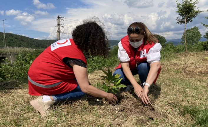 Düzce'de Kızılayın kuruluşunun 153. yılı anısına hatıra ormanı oluşturuldu