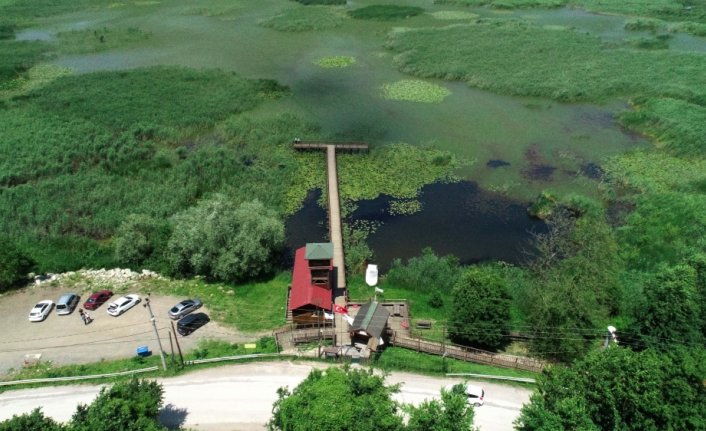 Efteni Gölü Kuş Cenneti kademeli normalleşmeyle 