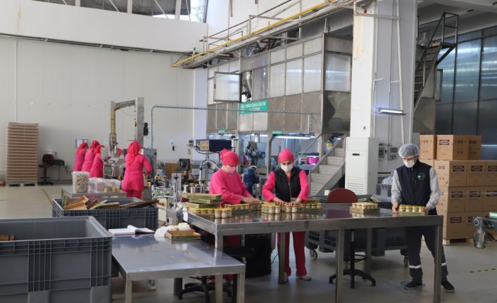 FİSKOBİRLİK büyüme hedefini sürdürecek