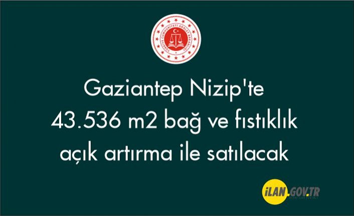 Gaziantep Nizip'te 43.536 m² bağ ve fıstıklık açık artırma ile satılacak
