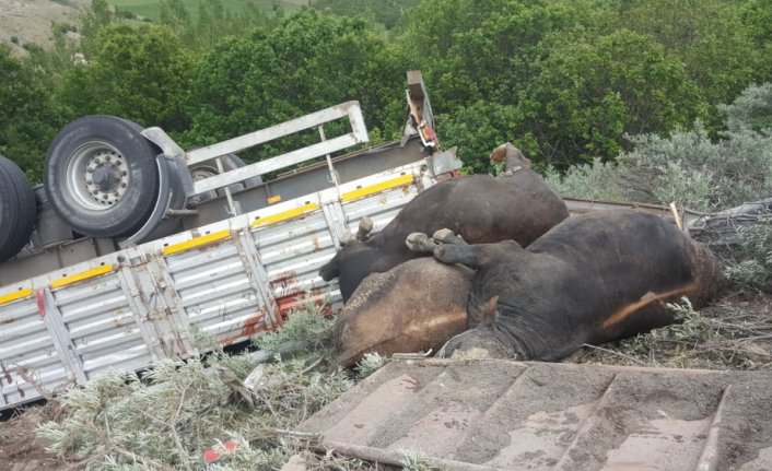Gümüşhane'de hayvan yüklü tır devrildi: 1 ölü