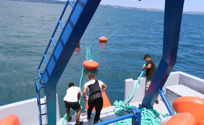 Karadeniz'de azalan midye popülasyonunun artırılması için Sinop'ta üretim tesisi kuruldu